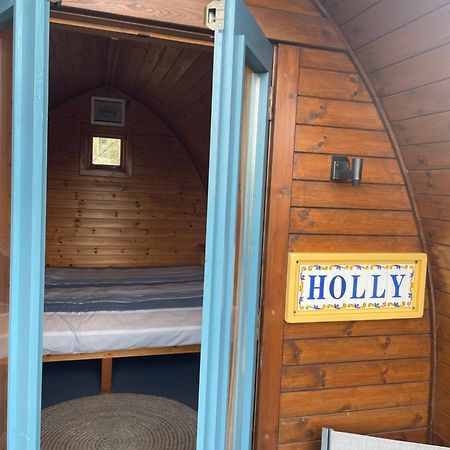 Glamping In The 2Nd Field Ξενοδοχείο Aughrim Εξωτερικό φωτογραφία