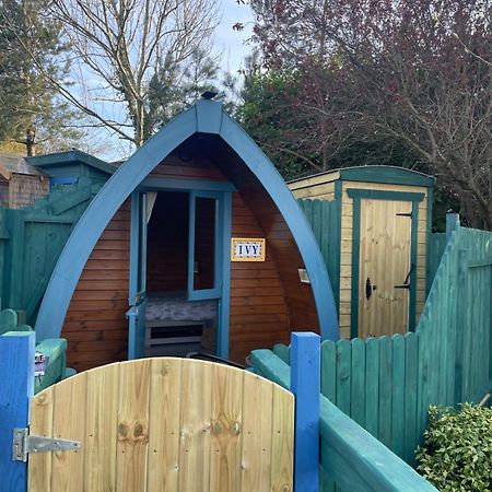 Glamping In The 2Nd Field Ξενοδοχείο Aughrim Εξωτερικό φωτογραφία