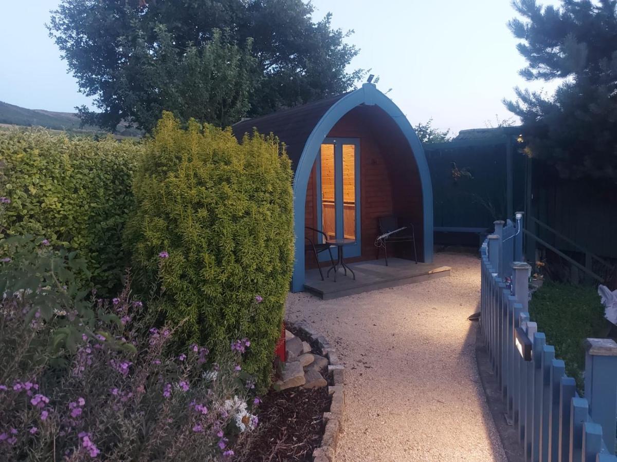 Glamping In The 2Nd Field Ξενοδοχείο Aughrim Εξωτερικό φωτογραφία